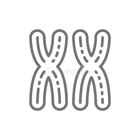 La herencia ligada al cromosoma X