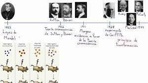 El principio transformador: ADN