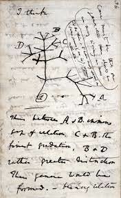 Conclusion / Charles Darwin's' Impact