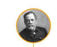 Réfutation de la génération spontanée par Pasteur