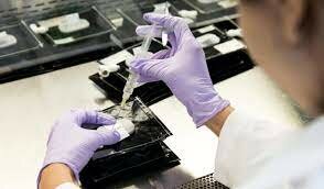 comienzo del desarrolllo