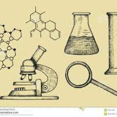 Timeline: L'home i la dona a la ciència