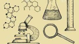 Timeline: L'home i la dona a la ciència