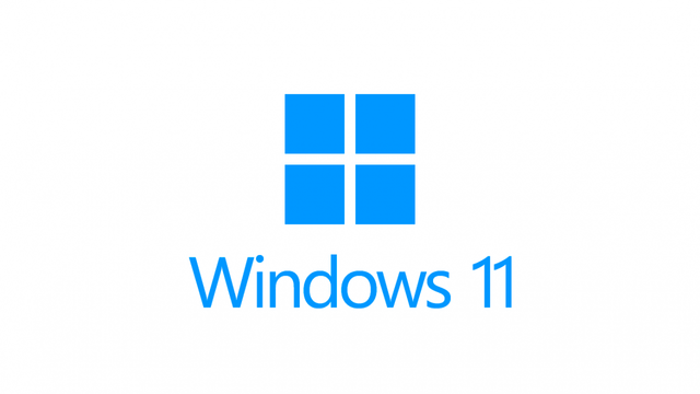 WINDOWS 11