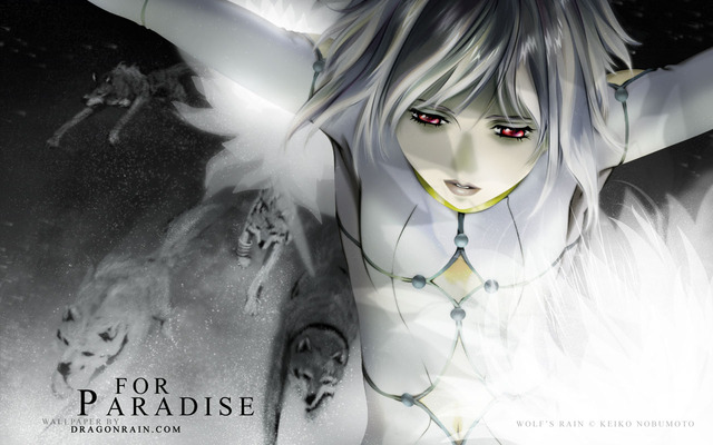 A Flash of violet filled the night sky