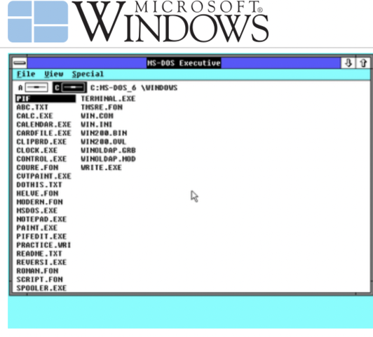 Windows 2.0