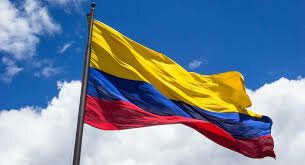 Constitución Política de Colombia.