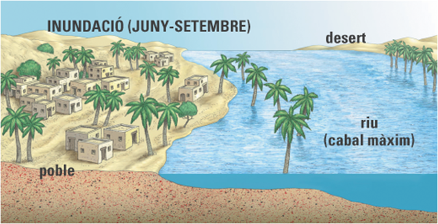 LA IMPORTÀNCIA DEL NIL