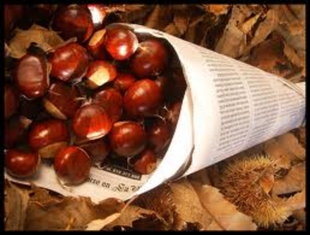 FIESTA DE LA MAGOSTA