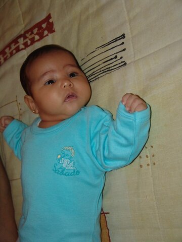 L'any que vaig neixer