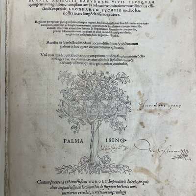 Timeline: The Rise and Fall of the Herbal