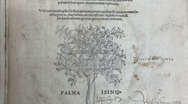 Timeline: The Rise and Fall of the Herbal