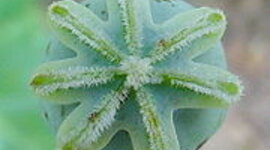 Timeline: MEDIOS DE ALMACENAMIENTO