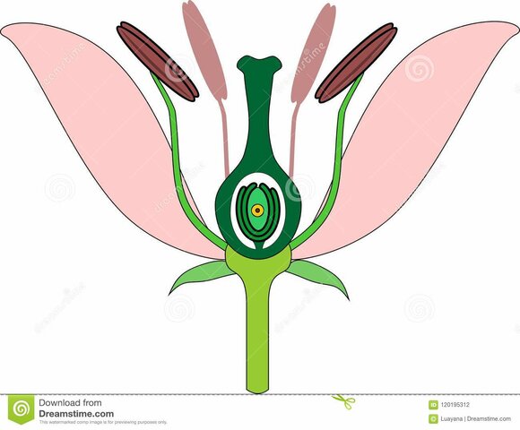 SEGUNDO MEDO DE ALMACENAMIEMTO