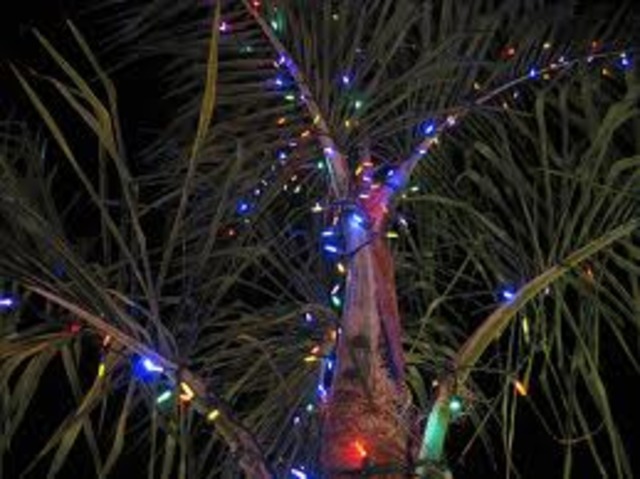 Craig and Alam went to Calcutta, India