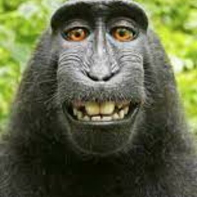 Timeline: 60s timeling