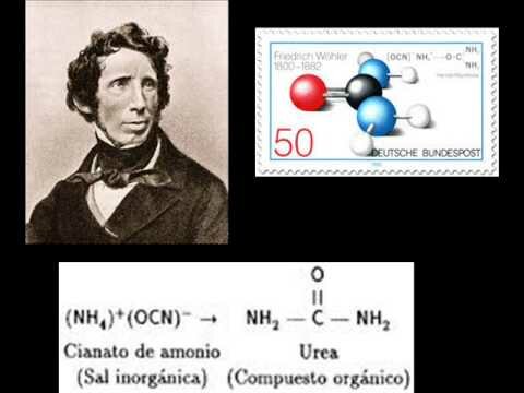 teoría del vitalismo