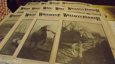 Editor for the Wallaces' Farmer