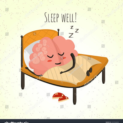 Timeline: Etapas del Sueño