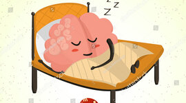 Timeline: Etapas del Sueño