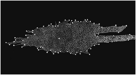 La exploración de la galaxia y el descubrimiento del infrarrojo