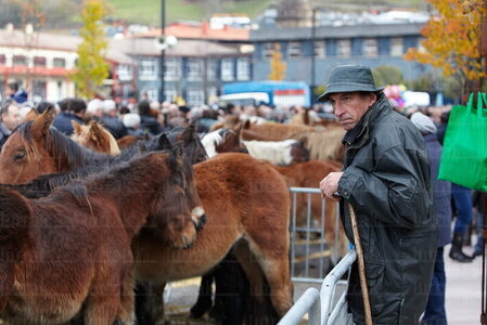 Santa Lucia festa lehenengo aldua