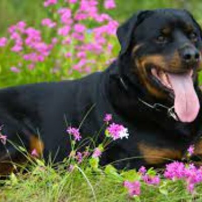 Timeline: Historia de mi vida