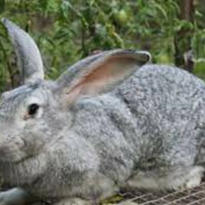 Timeline: Historia de mi vida