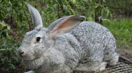 Timeline: Historia de mi vida