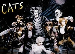 Cats