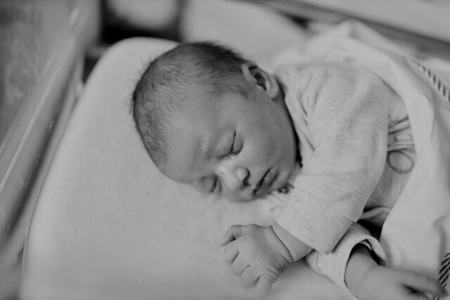 Naixement besàvia.P