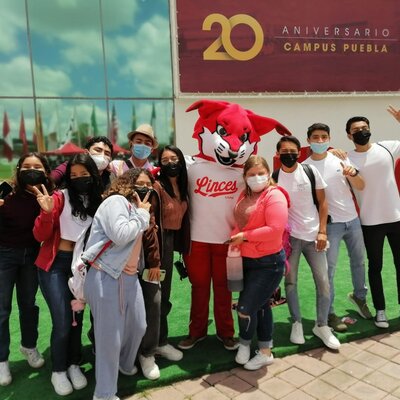 Timeline: Estancia univeritaria