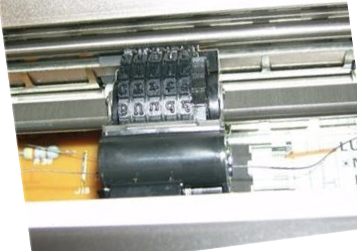 Impreso de Margarita