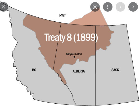 Treaty 8