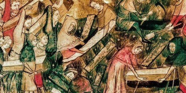 The rodent infection