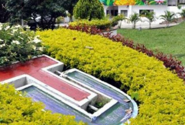 FORMACIÓN UNIVERSITARIA