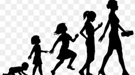 Timeline: Una historia que contar