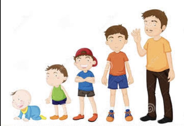 El desarrollo humano