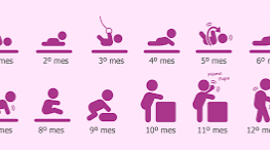 Timeline: La evolución del bebe