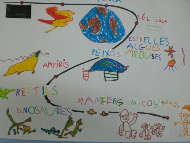 FEM LES TAPES DEL PROJECTE