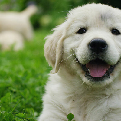 Timeline: Historia de mi vida