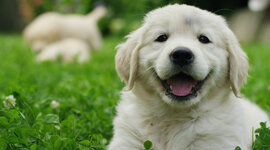 Timeline: Historia de mi vida