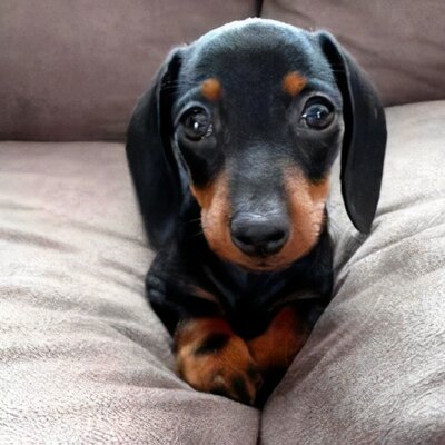 Timeline: Historia de mi vida