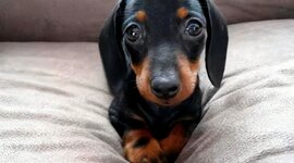 Timeline: Historia de mi vida