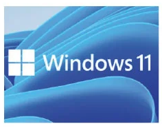WINDOWS 11 - 2021