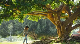 Timeline: Historia de mi vida 5A