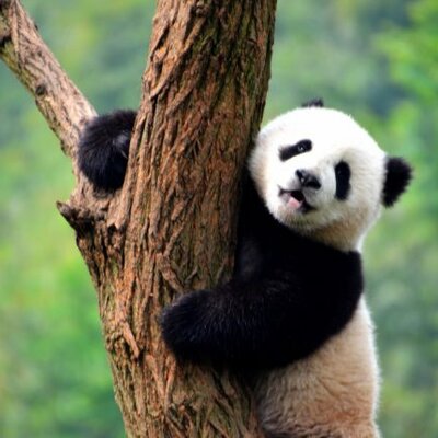 Timeline: historia de mi vida