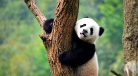 Timeline: historia de mi vida