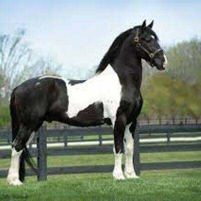 Timeline: historia de mi vida