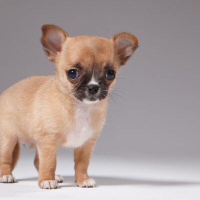 Timeline: Historia de mi vida